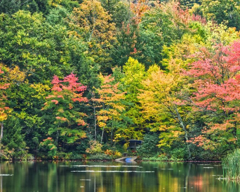 Communication avec la nature grâce au rire